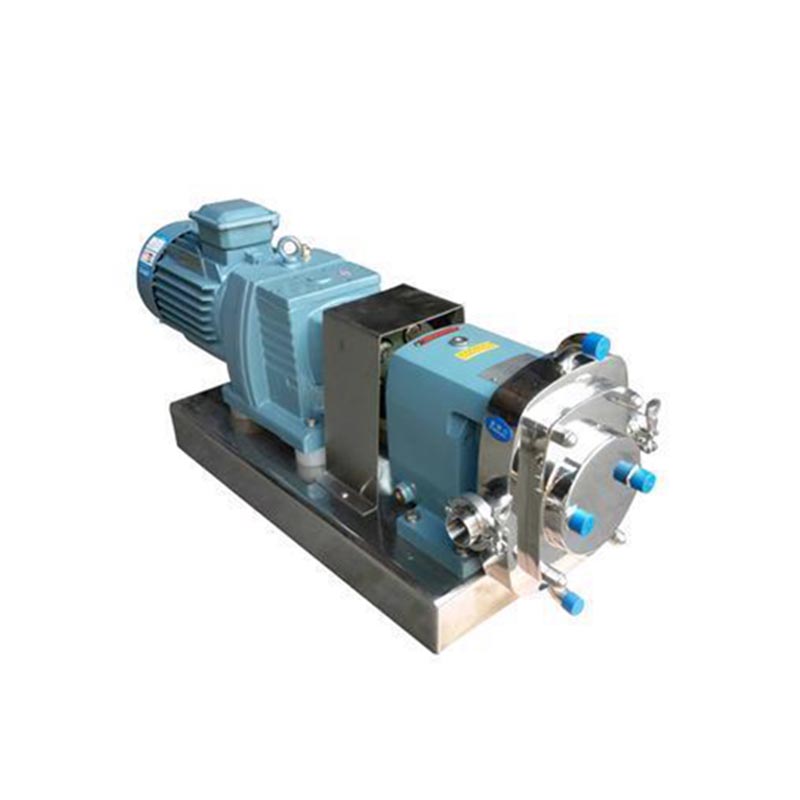 Rotary Lobe Pump