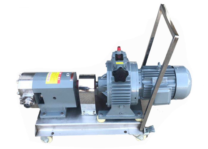 Tomato Paste Transfer Pump