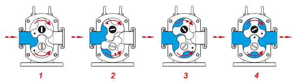 Working Principle of Rotary Lobe Pump