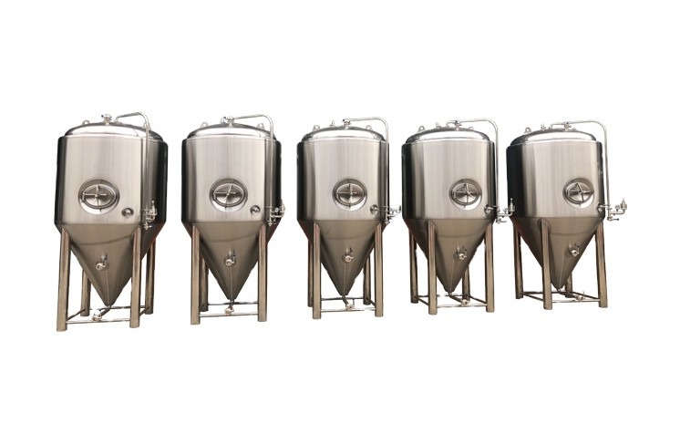 Beer fermenter