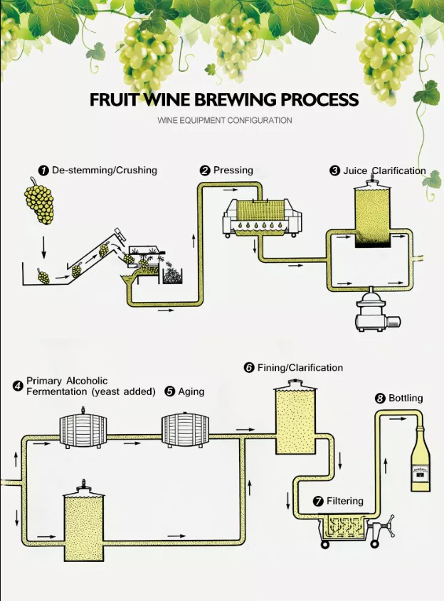 Wine Production Process