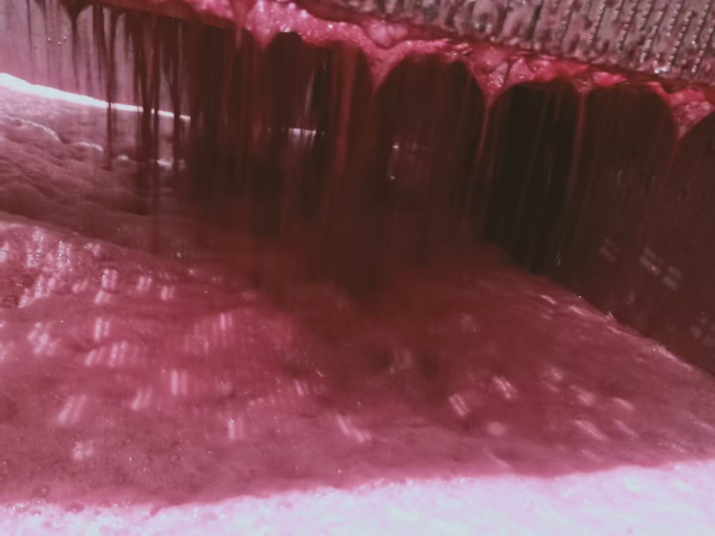Grape juice at the beginning of fermentation